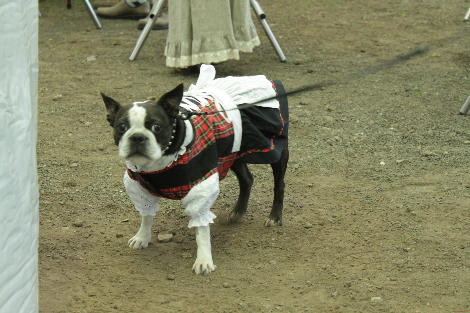 2014oktoberfest_02