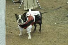 2014oktoberfest_02