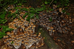 p1270223